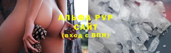 твердый Магадан
