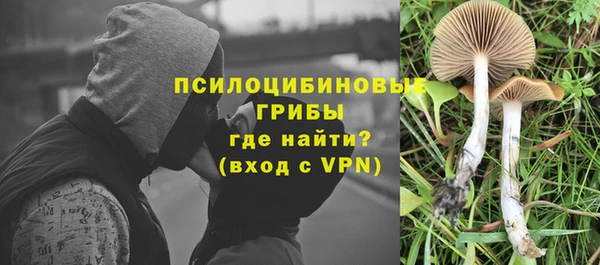 винт Великий Новгород
