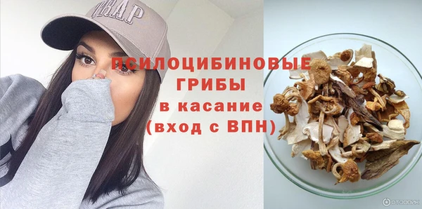 твердый Магадан