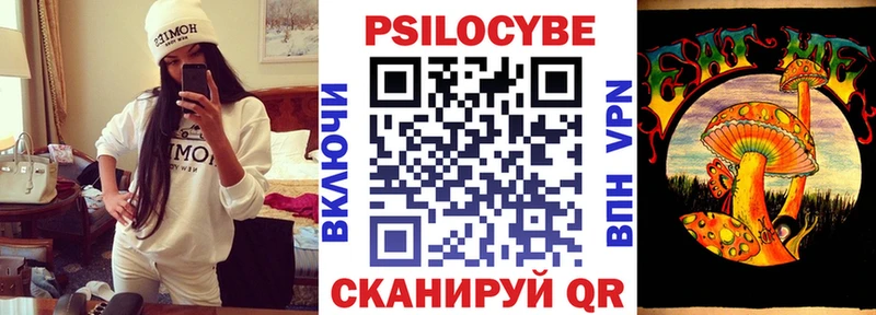сколько стоит Сусуман Галлюциногенные грибы GOLDEN TEACHER